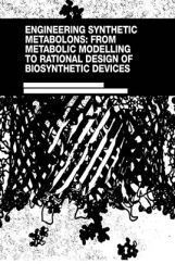 Engineering Synthetic Metabolons From Metabolic Modelling To Rational Design Engineering Synthetic Metabolons From Metabolic Modelling To Rational Design