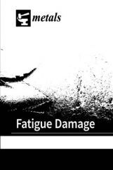 Fatigue Damage Fatigue Damage