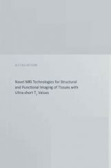 Novel MRI Technologies For Structural And Functional Imaging Of Tissues Novel MRI Technologies For Structural And Functional Imaging Of Tissues