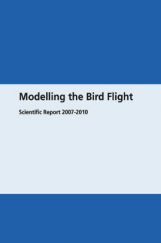 Modelling The Bird Flight Modelling The Bird Flight