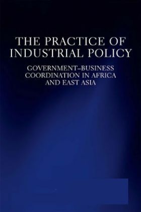 The Practice Of Industrial Policy
