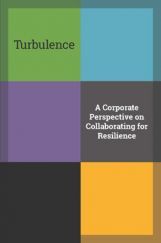 Turbulence Turbulence