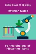 CBSE Class-11  Biology Revision Notes For Morphology of Flowering Plants