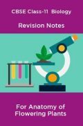 CBSE Class-11  Biology Revision Notes For Anatomy of Flowering Plants