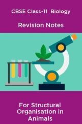 CBSE Class-11  Biology Revision Notes For Structural Organisation in Animals CBSE Class-11  Biology Revision Notes For Structural Organisation in Animals