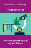 CBSE Class-11  Biology Revision Notes For Photosynthesis in Higher Plants CBSE Class-11  Biology Revision Notes For Photosynthesis in Higher Plants