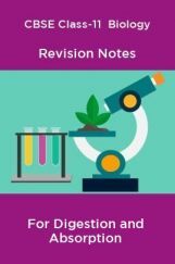 CBSE Class-11  Biology Revision Notes For Digestion and Absorption CBSE Class-11  Biology Revision Notes For Digestion and Absorption