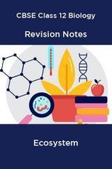 CBSE Class 12 Biology Revision Notes Ecosystem CBSE Class 12 Biology Revision Notes Ecosystem