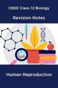 CBSE Class 12 Biology Revision Notes Human Reproduction CBSE Class 12 Biology Revision Notes Human Reproduction