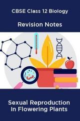 CBSE Class 12 Biology Revision Notes Sexual Reproduction In Flowering Plants CBSE Class 12 Biology Revision Notes Sexual Reproduction In Flowering Plants