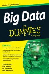 Big Data For Dummies A Wiley Brand Big Data For Dummies A Wiley Brand