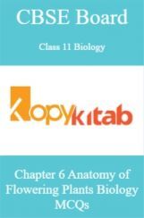 CBSE Board Class 11 Biology Chapter 6 Anatomy of Flowering Plants Biology  MCQs CBSE Board Class 11 Biology Chapter 6 Anatomy of Flowering Plants Biology  MCQs