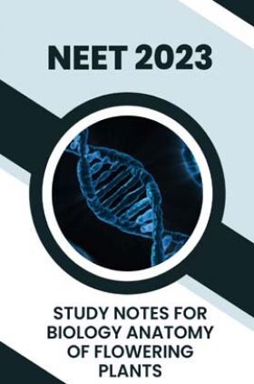 Study Notes for NEET Biology Anatomy Of Flowering Plants 2023