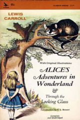 Alice Adventures in the Wonderland  Alice Adventures in the Wonderland