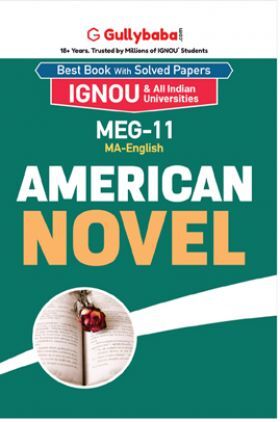 MEG-11 American Novel