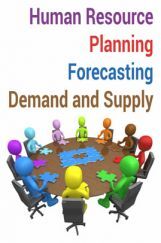 Human Resource Planning Forecasting Demand and Supply Human Resource Planning Forecasting Demand and Supply
