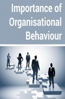 Importance of Organisational Behaviour Importance of Organisational Behaviour