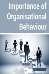 Importance of Organisational Behaviour Importance of Organisational Behaviour