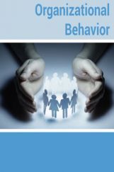 Organizational Behaviour Organizational Behaviour