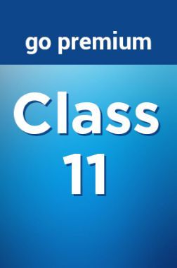 Class 11 Go Premium
