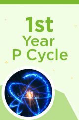 1st Year P Cycle 1st Year P Cycle