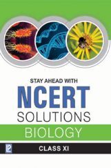 Stay Ahead With NCERT Solutions Biology For Class - XI Stay Ahead With NCERT Solutions Biology For Class - XI