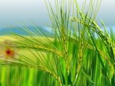 Civil-Irrigation Engineering-I Part-7 Civil-Irrigation Engineering-I Part-7