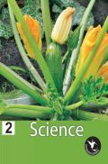 Humming Bird Science-2    Humming Bird Science-2
