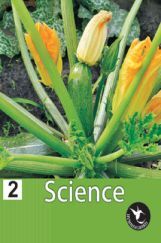 Humming Bird Science-2    Humming Bird Science-2