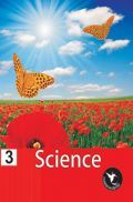 Humming Bird Science-3    Humming Bird Science-3