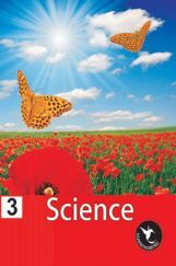 Humming Bird Science-3    Humming Bird Science-3