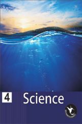 Humming Bird Science-4    Humming Bird Science-4