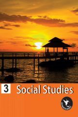 Humming Bird Social Study-3    Humming Bird Social Study-3