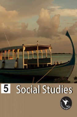 Humming Bird Social Study-5   