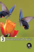 Humming Bird Environmental Studies-3    Humming Bird Environmental Studies-3