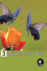 Humming Bird Environmental Studies-3    Humming Bird Environmental Studies-3
