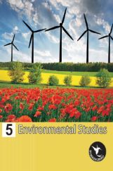 Holy Faith Humming Bird Environmental Studies-5 Holy Faith Humming Bird Environmental Studies-5