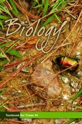 NCERT Biology Textbook for Class XI NCERT Biology Textbook for Class XI