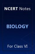 NCERT Notes Biology For Class VI NCERT Notes Biology For Class VI