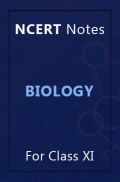 NCERT Notes Biology For Class XI NCERT Notes Biology For Class XI