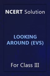 NCERT Solution For Class 3 Looking Around (EVS) NCERT Solution For Class 3 Looking Around (EVS)