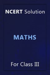 NCERT Solution Fro Class 3 Maths NCERT Solution Fro Class 3 Maths