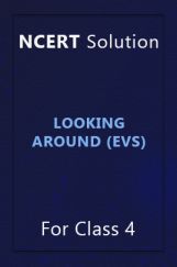 NCERT Solution For Class 4 Looking Around (EVS) NCERT Solution For Class 4 Looking Around (EVS)