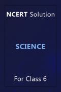 NCERT Solution For Class 6 Science