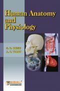 Human Anatomy And Physiology Human Anatomy And Physiology
