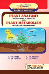 Plant Anatomy And Plant Metabolism Plant Anatomy And Plant Metabolism