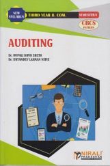 Auditing Auditing