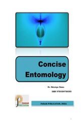 Concise Entomology Concise Entomology
