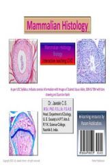 Mammalian Histology (Biology) Mammalian Histology (Biology)