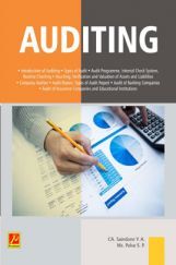 Auditing Auditing